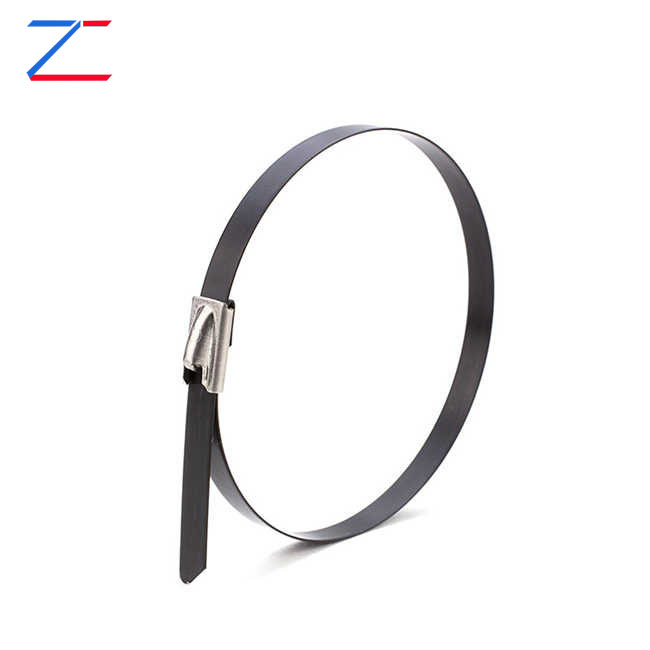 किन लेपित स्टेनलेस स्टील केबल टाई छान्नुहोस्?